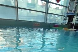 Pan od Pływania - Nauka pływania dla dzieci i dorosłych